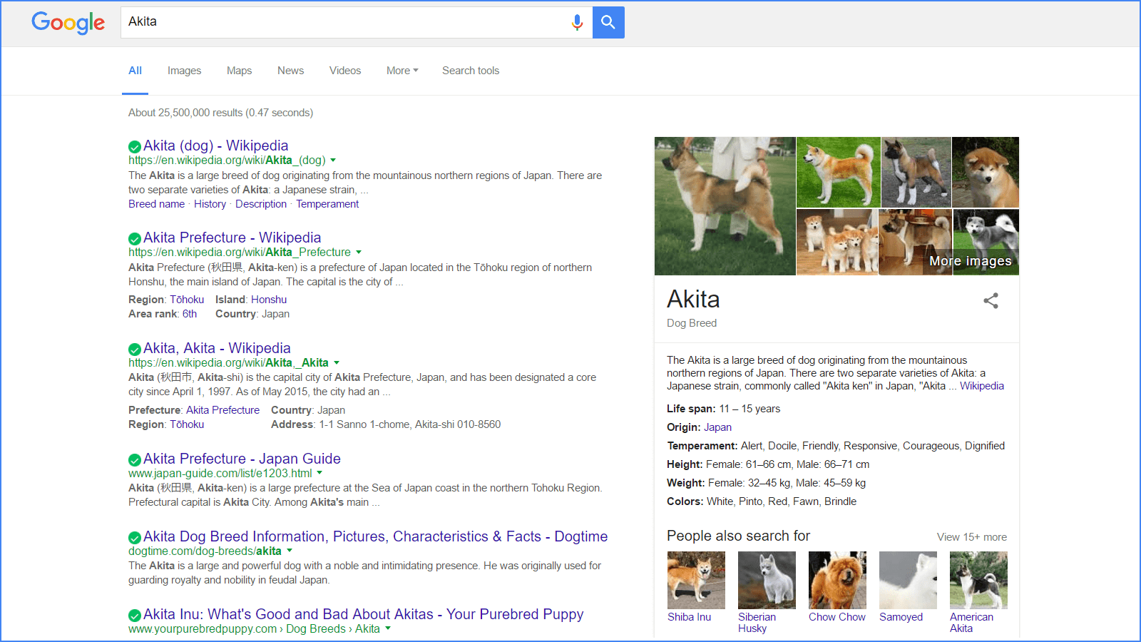 Google.com「Akita」検索結果