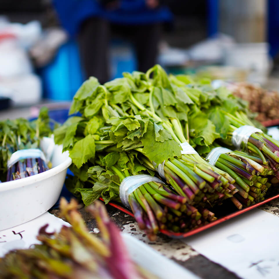 五城目朝市で売られている新鮮な山菜