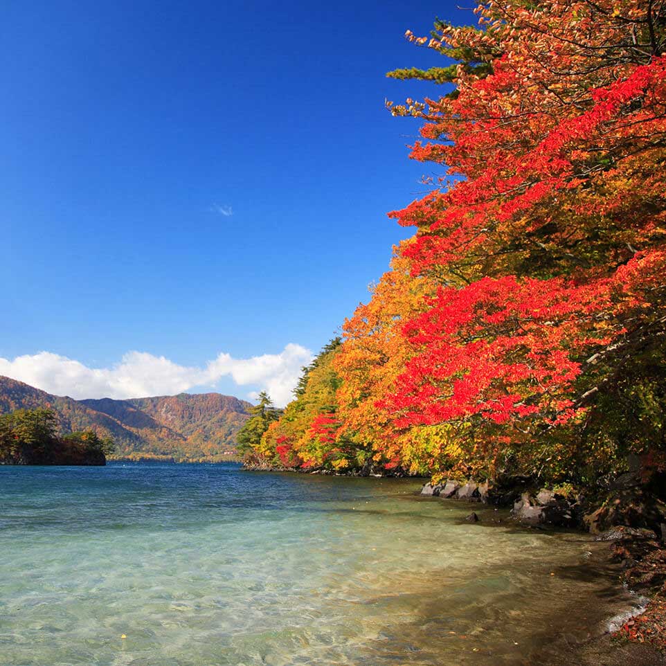 秋：十和田湖の紅葉