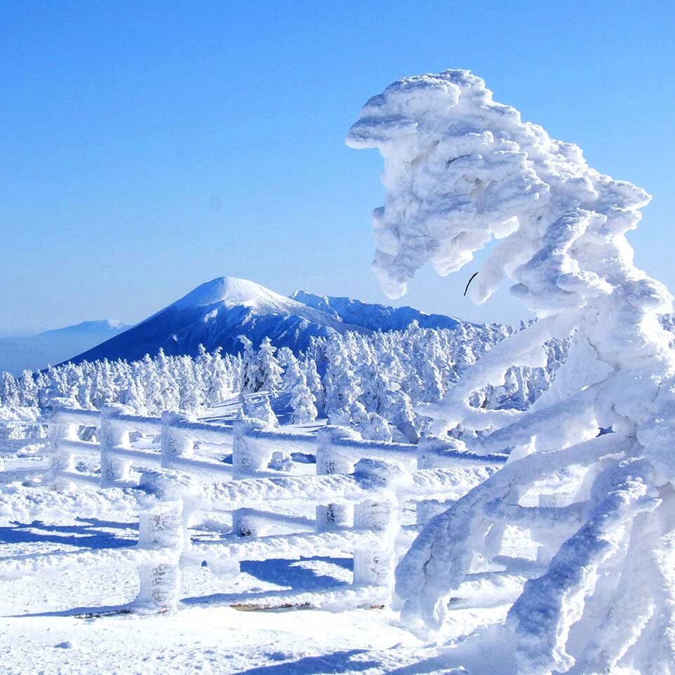 冬：八幡平山頂の樹氷