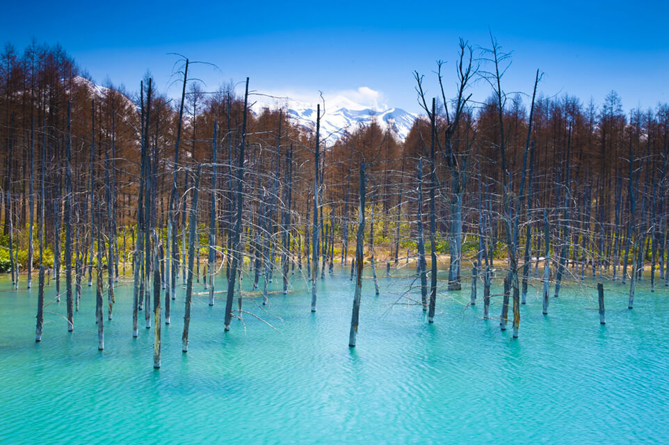 北海道