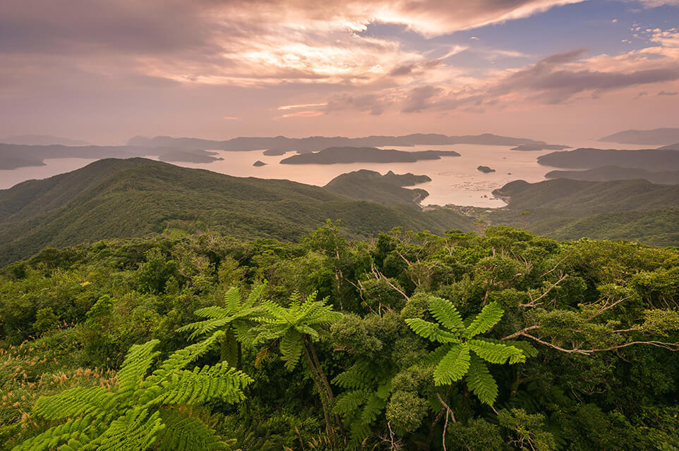 奄美大島￥「奄美高知山展望台」