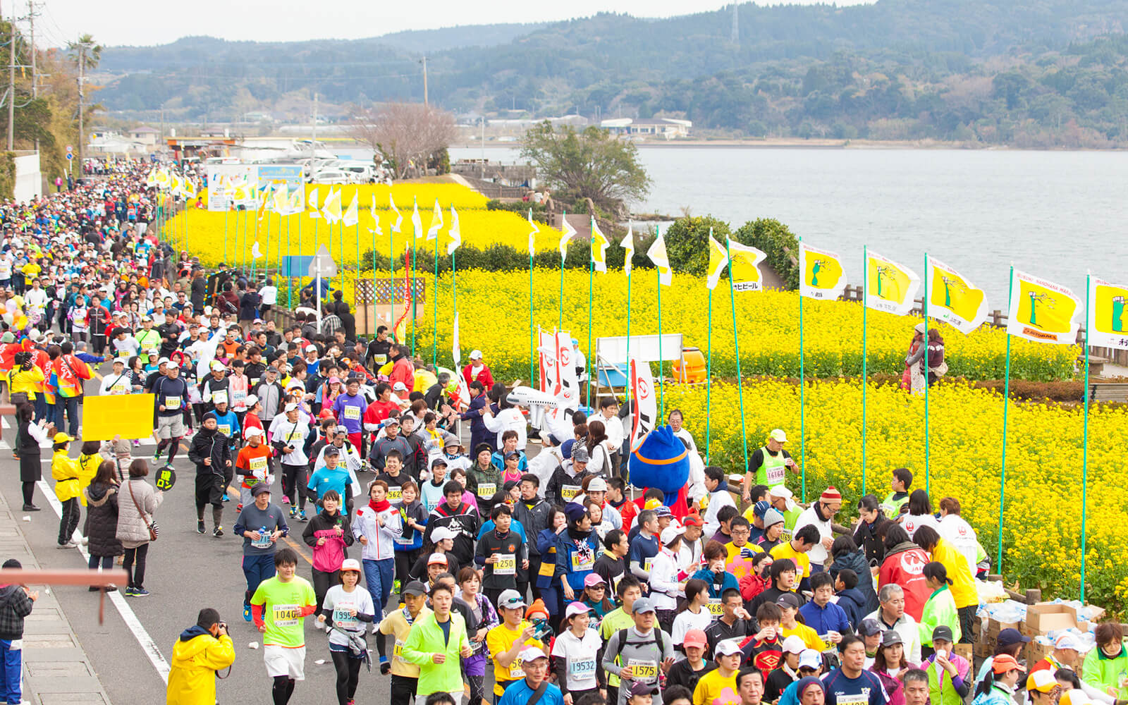 「池田湖」や「開聞岳」などの観光名所を走るいぶすき菜の花マラソン