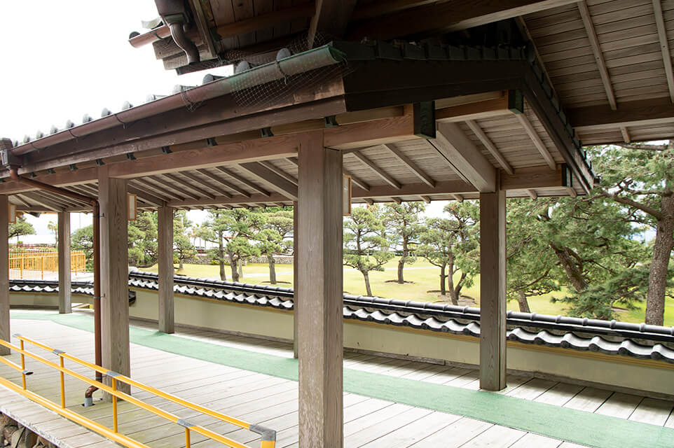 海辺に沿うように展開する広大な松林