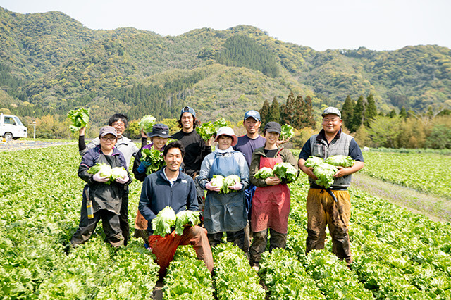 マグロの町をレタス産地にしたい