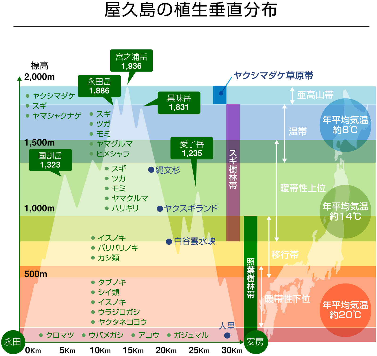 北海道の寒さから熱帯まで　屋久島の垂直分布