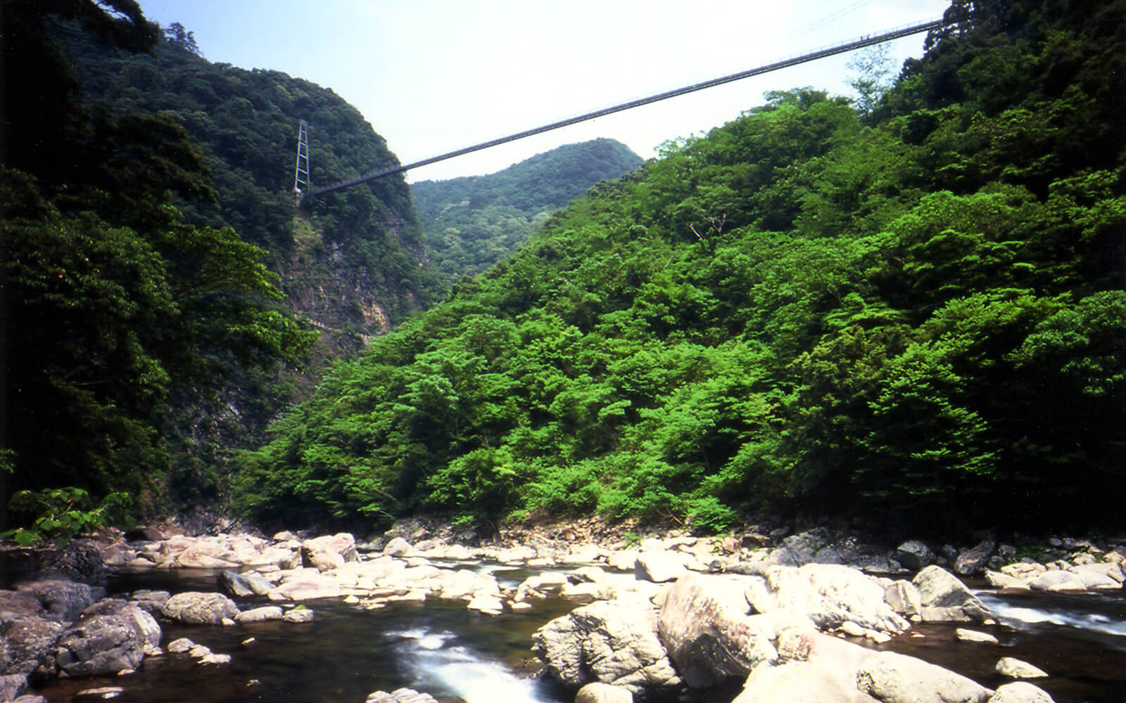 綾の照葉樹林