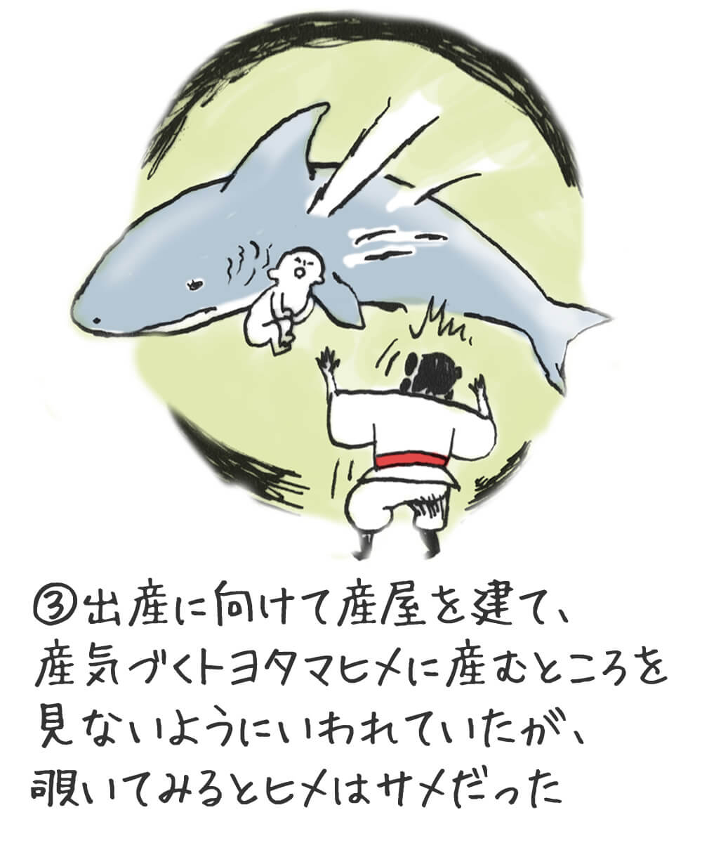 (3)出産に向けて産屋を建て、産気づくトヨタマヒメに産むところを見ないようにいわれていたが、覗いてみるとヒメはサメだった