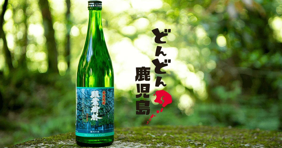 照葉樹林 蜜酒の杯 本格焼酎二本セット - メルカリ