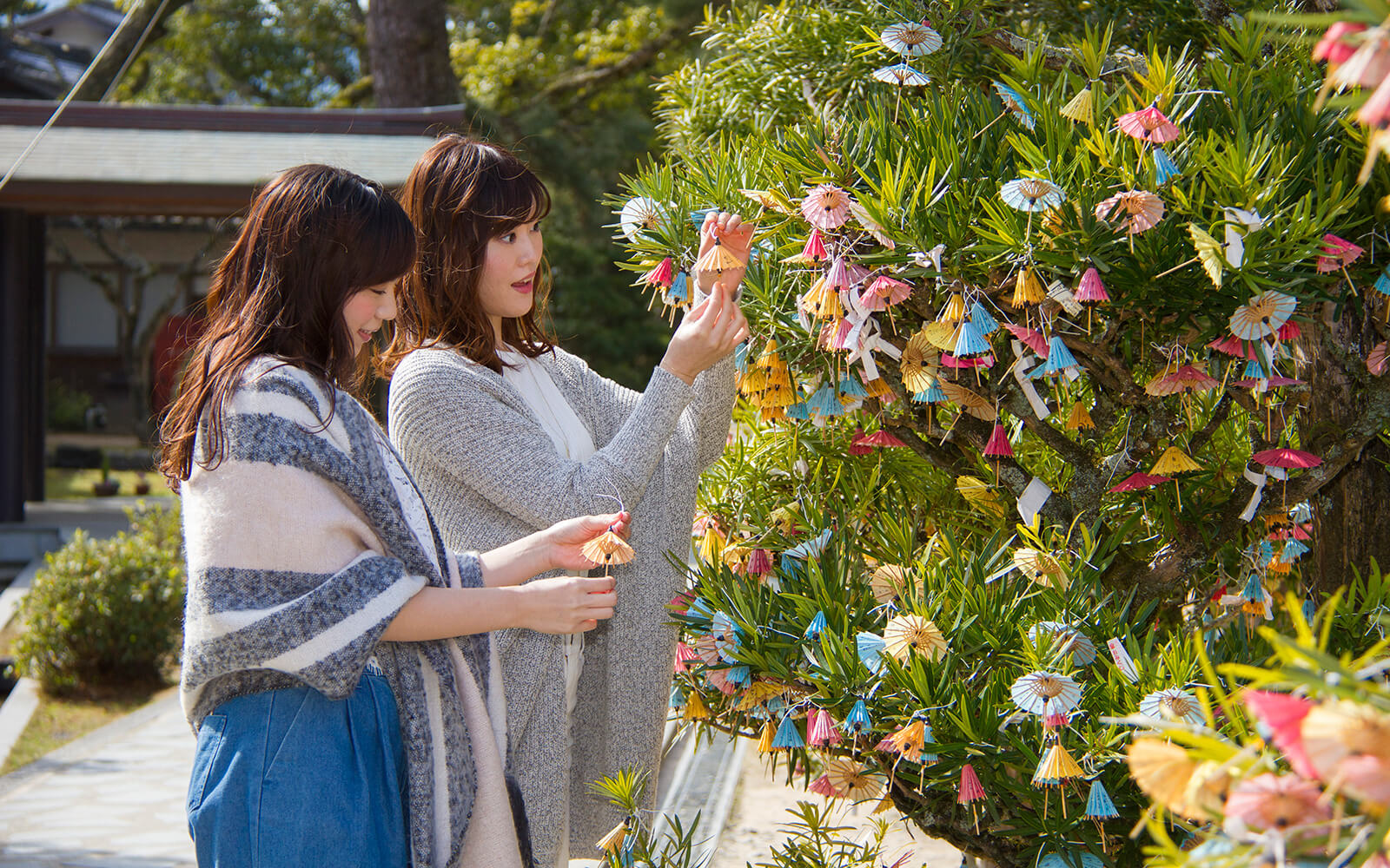 松下村塾を施設内に構える松陰神社にある彩り鮮やかな「傘おみくじ」